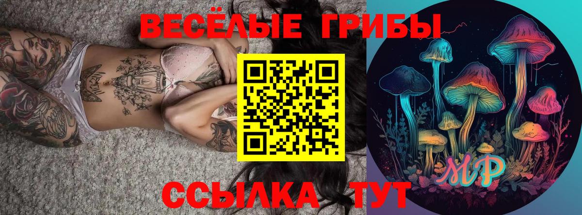 Гатчина  Псилоцибиновые грибы ЛСД  Вход с VPN 