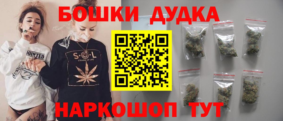 Бошки Шишки планчик Гатчина